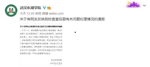 武汉学校爆料视频大全集,揭秘校园内幕与真实故事